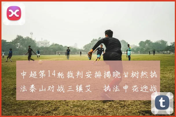 中超第14轮裁判安排揭晓甘树然执法泰山对战三镇艾堃执法申花迎战新鹏城