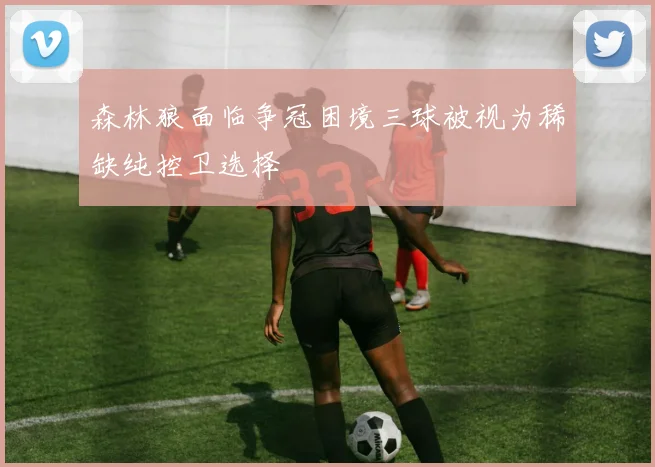 森林狼面临争冠困境三球被视为稀缺纯控卫选择