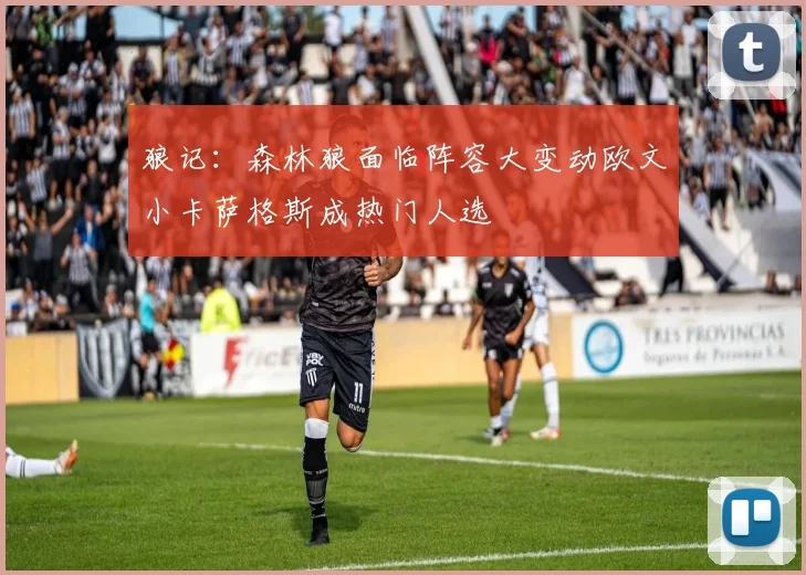 狼记：森林狼面临阵容大变动欧文小卡萨格斯成热门人选