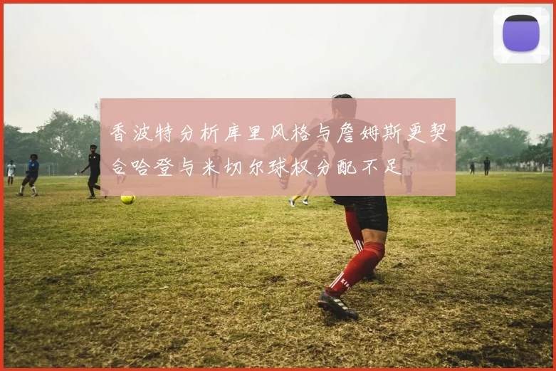香波特分析库里风格与詹姆斯更契合哈登与米切尔球权分配不足